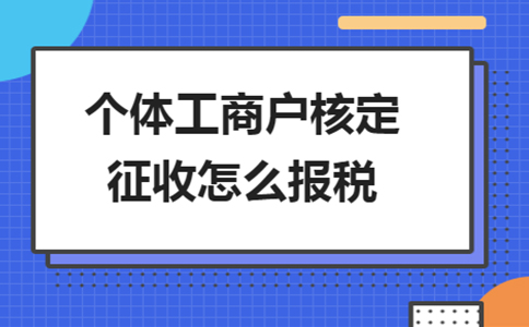 上海奉賢園區(qū)核定征收穩(wěn)定辦理流程