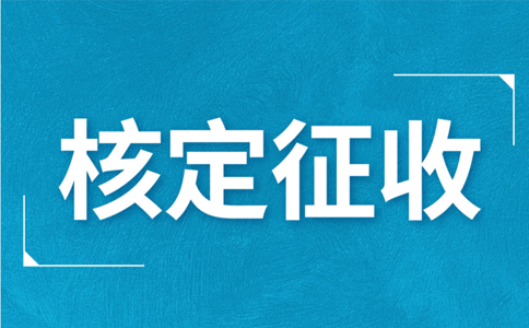 江西大額個體戶核定征收標準，2024年最新政策